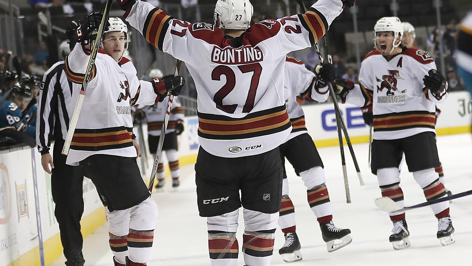 Lane Pederson's late goal gives Roadrunners first-ever playoff win, 1-0 series lead